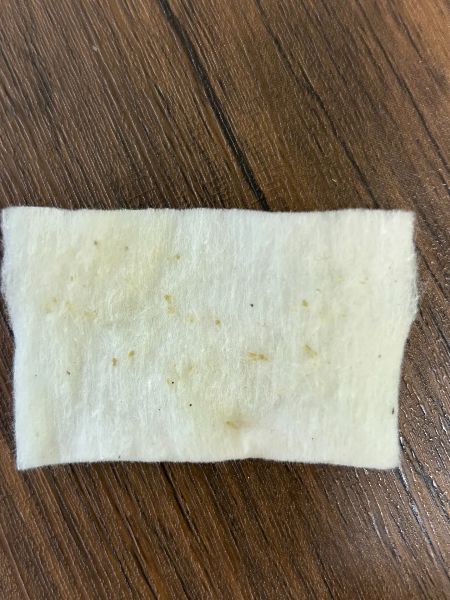 毛穴